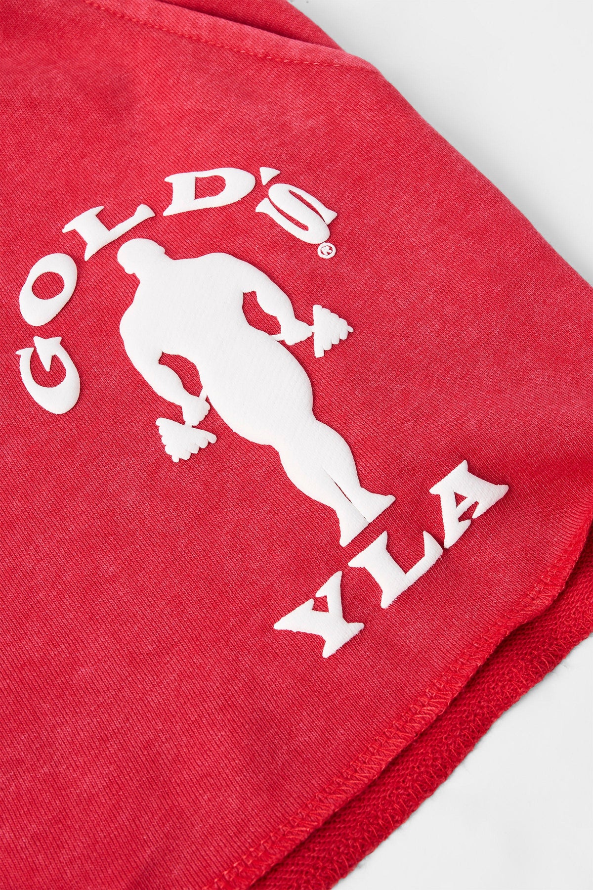 1132 - Golds Gym Bodybuilding Shorts